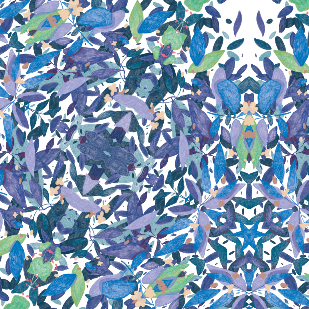 Nopal-bleu-1080x108
